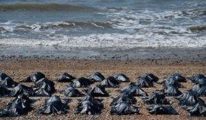 Drowned Syrian Immigrants